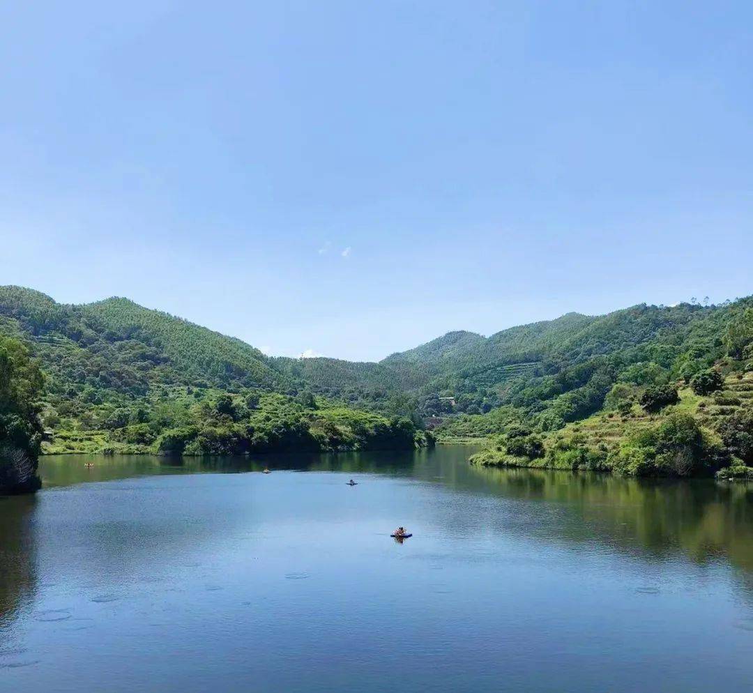 潮州五大湿地公园,你去过几个?_饶平_红树林_金山大桥