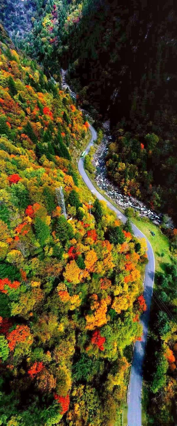 冰川脚下看彩林,黑水第十一届冰川彩林生态文化旅游季开幕