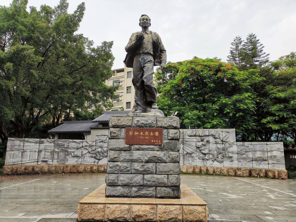 近日,彭加木公园荣获广州市第一批古树公园称号,是白云区目前为止唯一