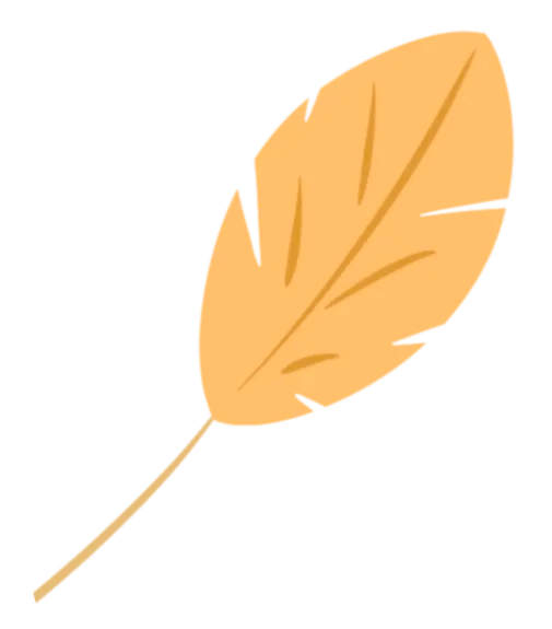 教无止境 ——核心素养下主题式小学数学实验课程的实践研究_王思颖