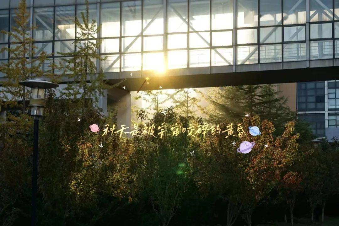 dufl walk|这是属于大外的秋日盛宴_秋风_秋意_钟楼