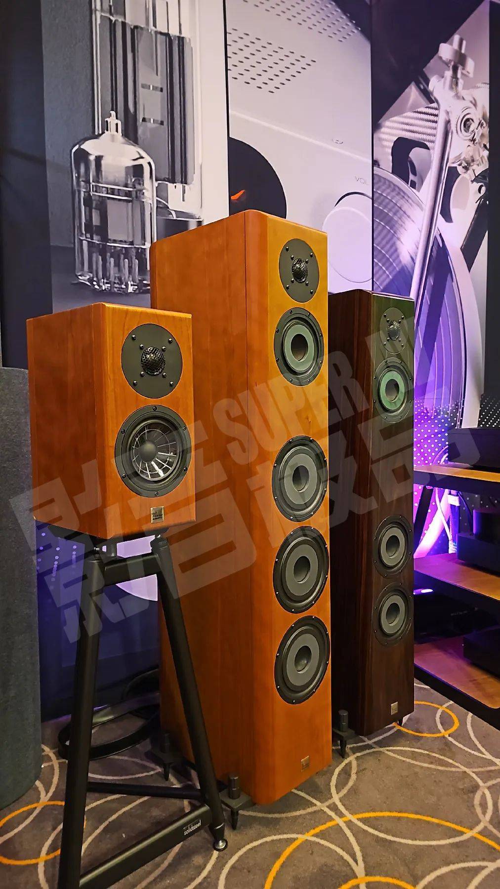 vienna acoustics维也纳音箱正在开声演示另一个区域也有众多黑胶唱片