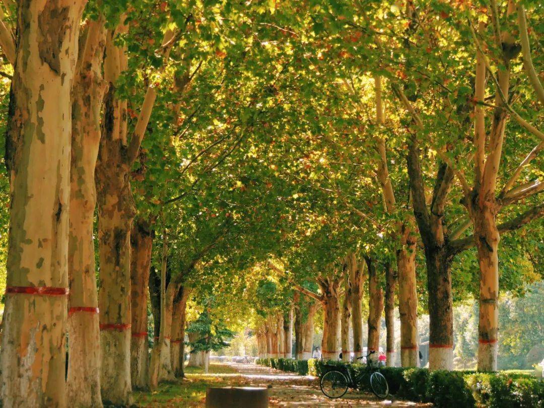 宋士达 李朝辉等东北石油大学江苏大学 教师杨雨苏瑞淇 北大校友摄影