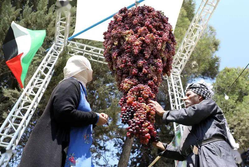 为巴勒斯坦生产优质的阿拉克酒提供了十分优厚条件.