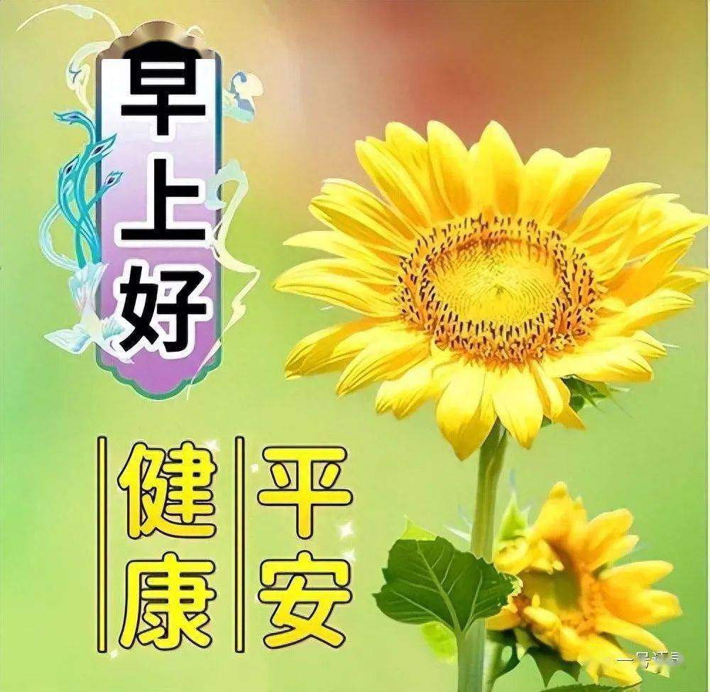 今日最新早上好表情包图片大全,与平安相伴,与健康相随