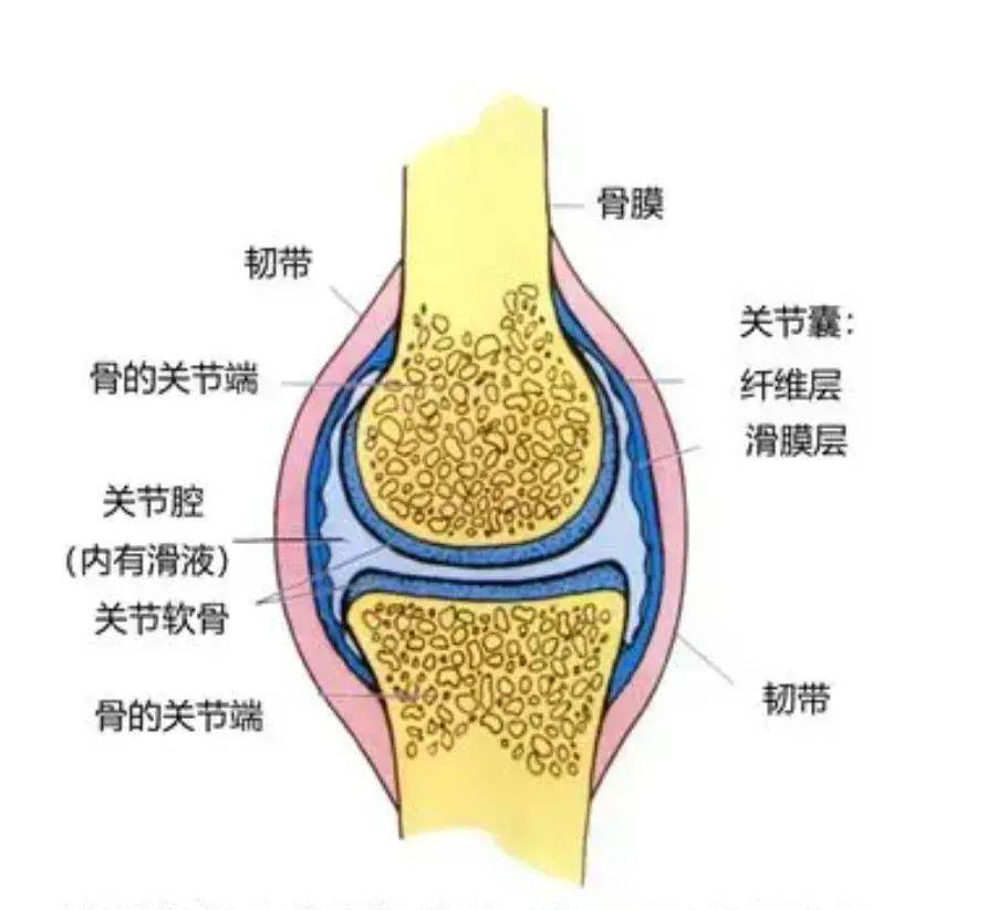 网球运动的膝关节受伤真的万劫难逃吗?