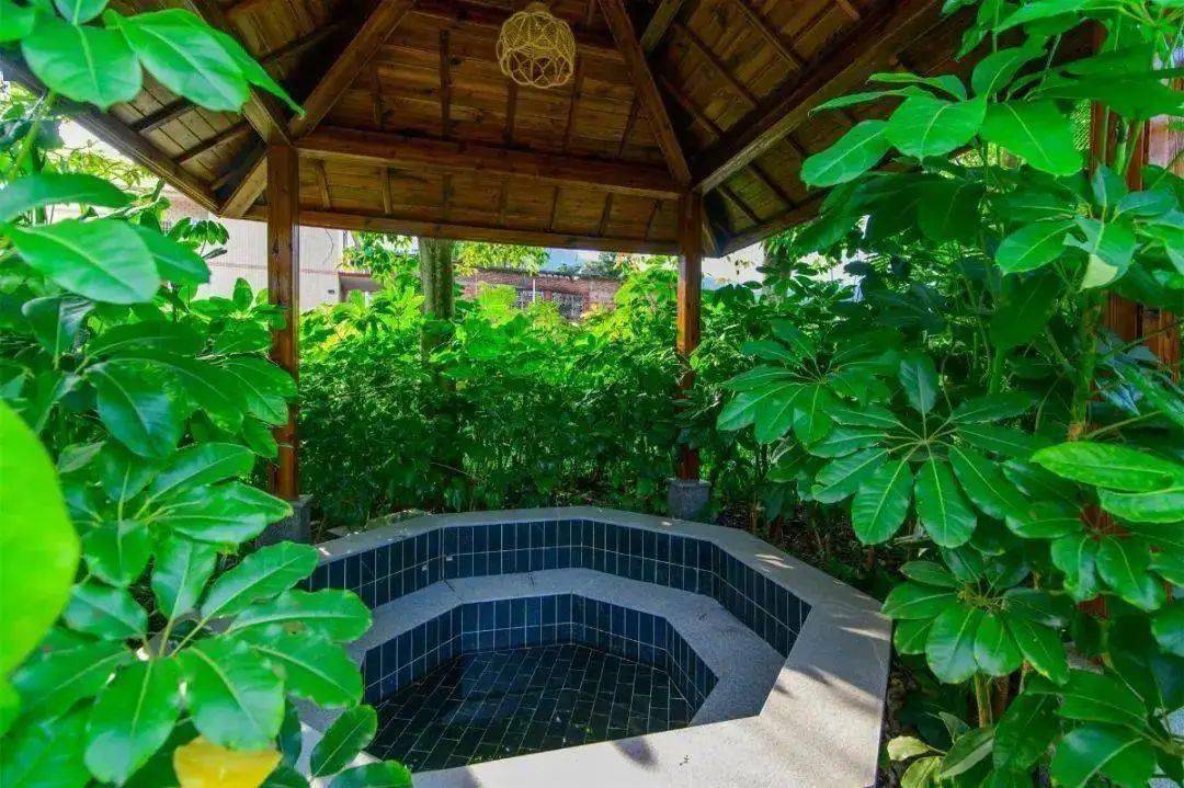 住温泉之乡雅致房 叹真温泉 自助 早餐!