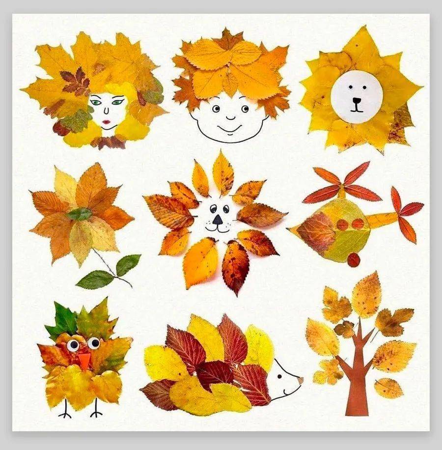 自然美工:秋叶拼贴,创意无限