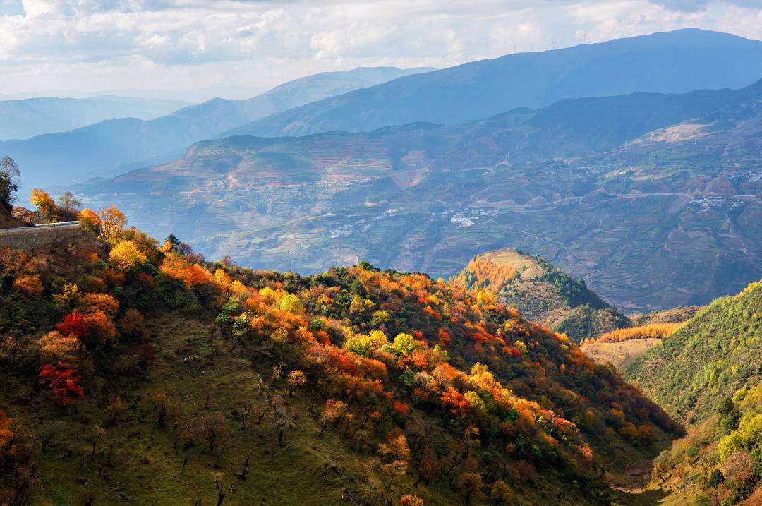 图集丨层林尽染 四川金阳县百草坡秋色醉人_红叶_大凉山_封面