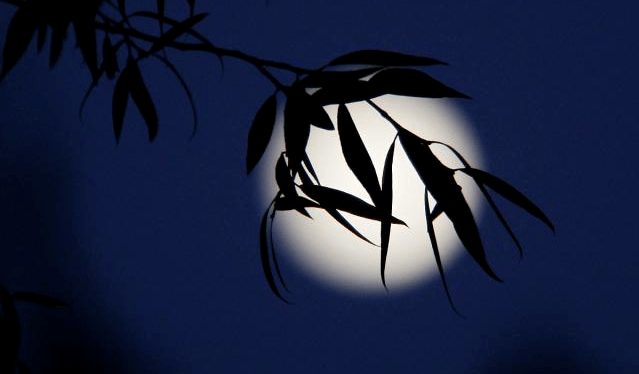 今夜有你,月色倾城_流年_一个人_岁月