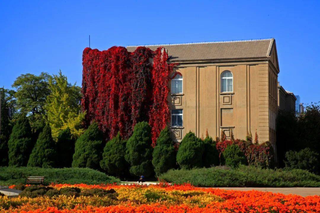 大连民族大学*沈阳理工大学*辽宁中医药大学*大连东软信息学院*辽宁何