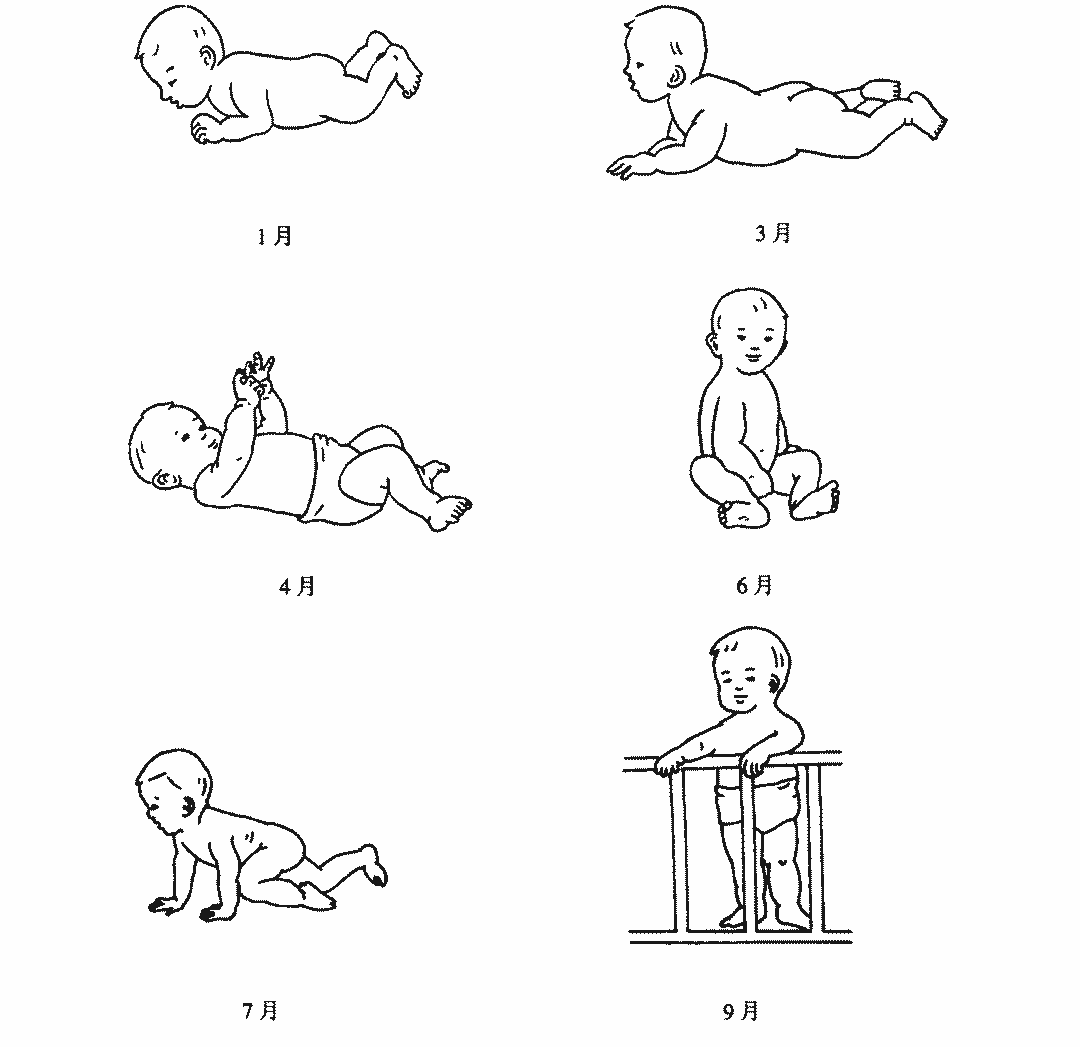 粗大动作训练图片