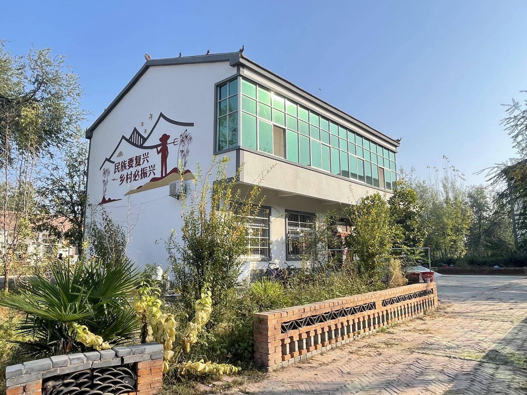 泡桐成为兰考"绿色银行"_何寨村_乡村_产业