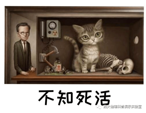 表情包:薛定谔的猫是奥地利著名物理学家薛定谔提出的一个思想实验,是