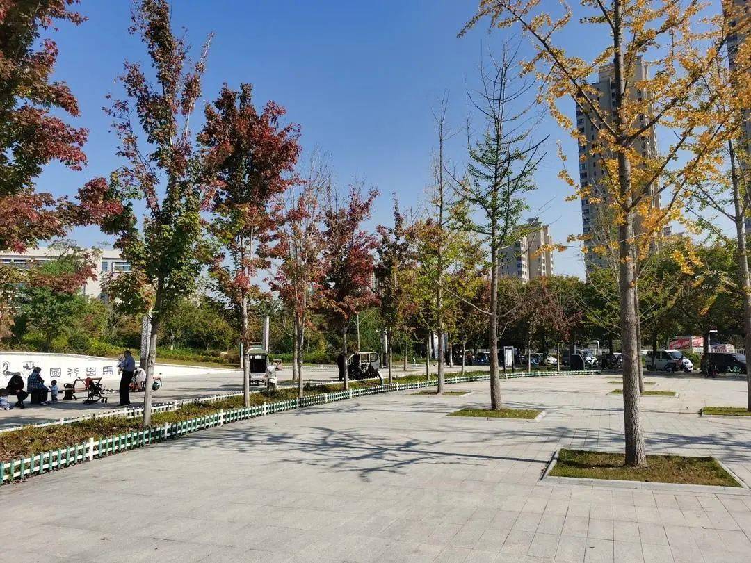 体现了总体布局的生态性,植物配置的多样性,广场铺装的舒适性,因路