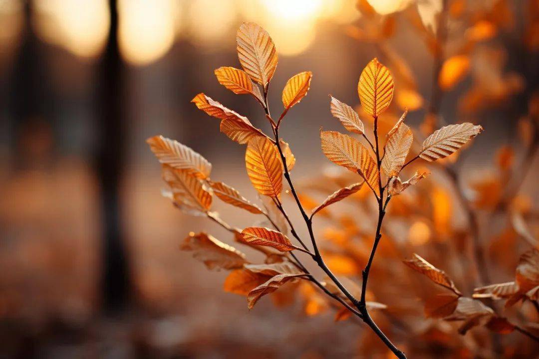 杜甫水平最高的一首七律,无一生僻字却出神入化,至今无人超越_长江