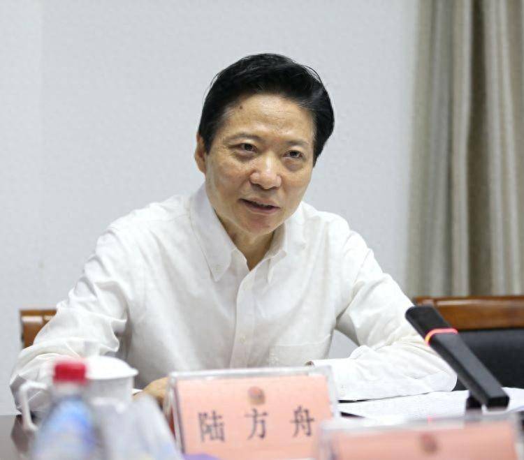 陆方舟专项调研北虹桥商务区并督导检查第六届进博安保工作_嘉定区委