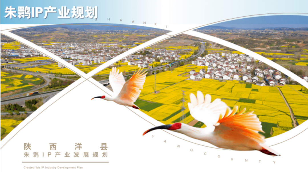 洋县"区域公用品牌朱鹮ip产业规划记者从"生态汉中·鹮美天下"2023