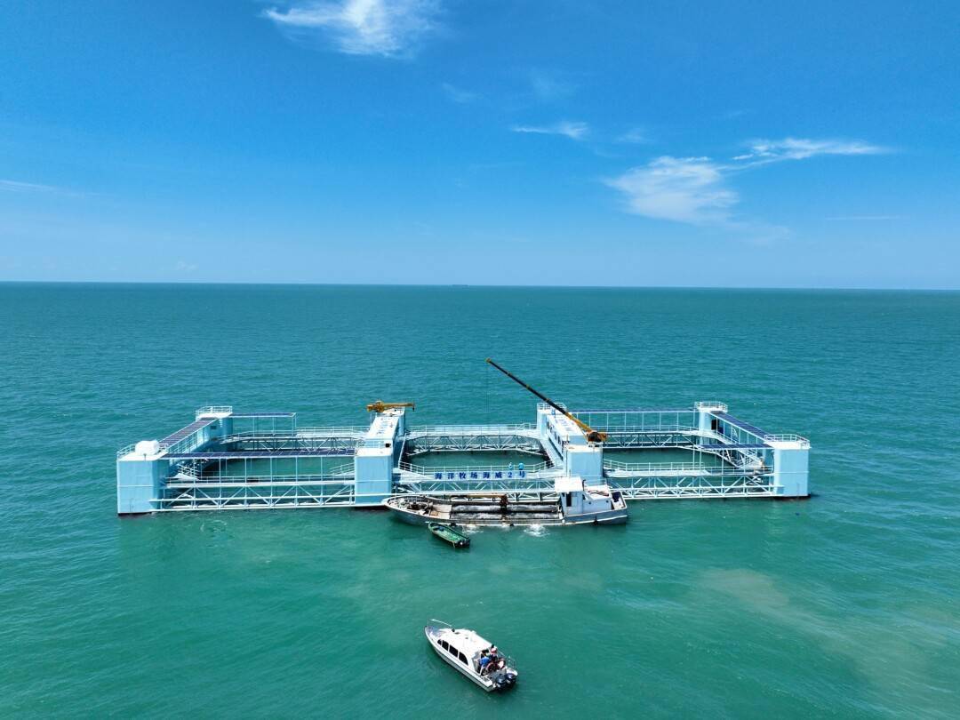 科技引领 湛江如何打造全球水产产业高地?_养殖_发展_海洋