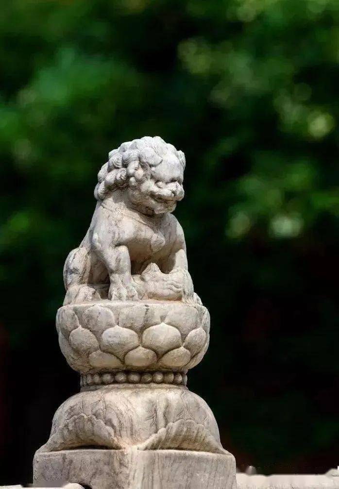 宽以待人,积累道德,敢于担当,这就是"坤德",加上前面"天行健"的"乾德"