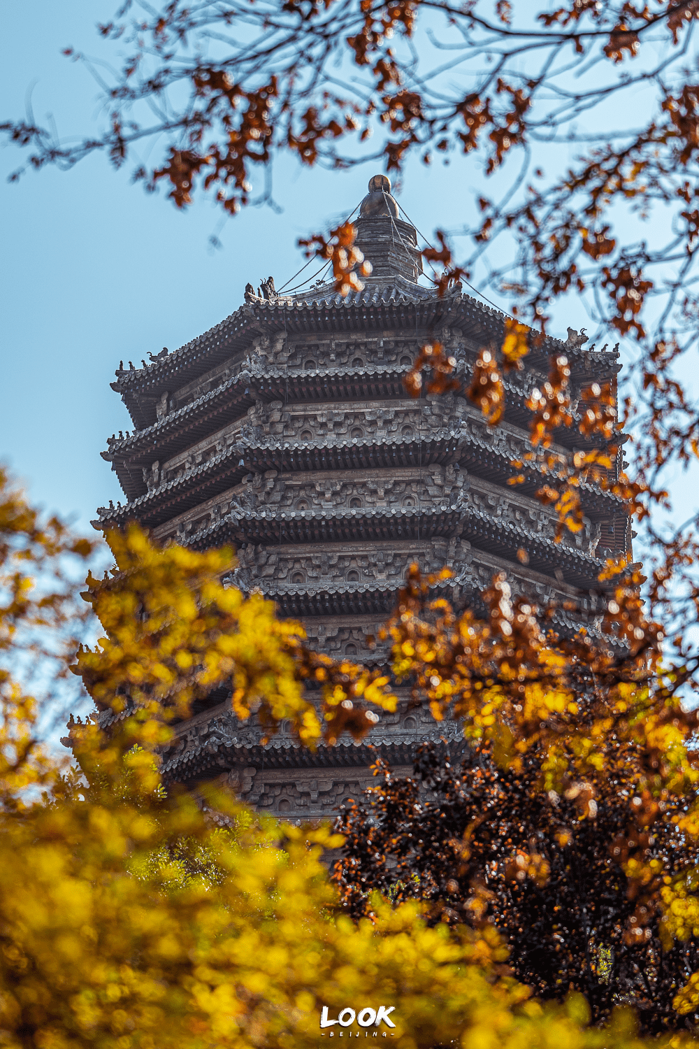 北京隐秘的小众公园,惊艳整个秋天