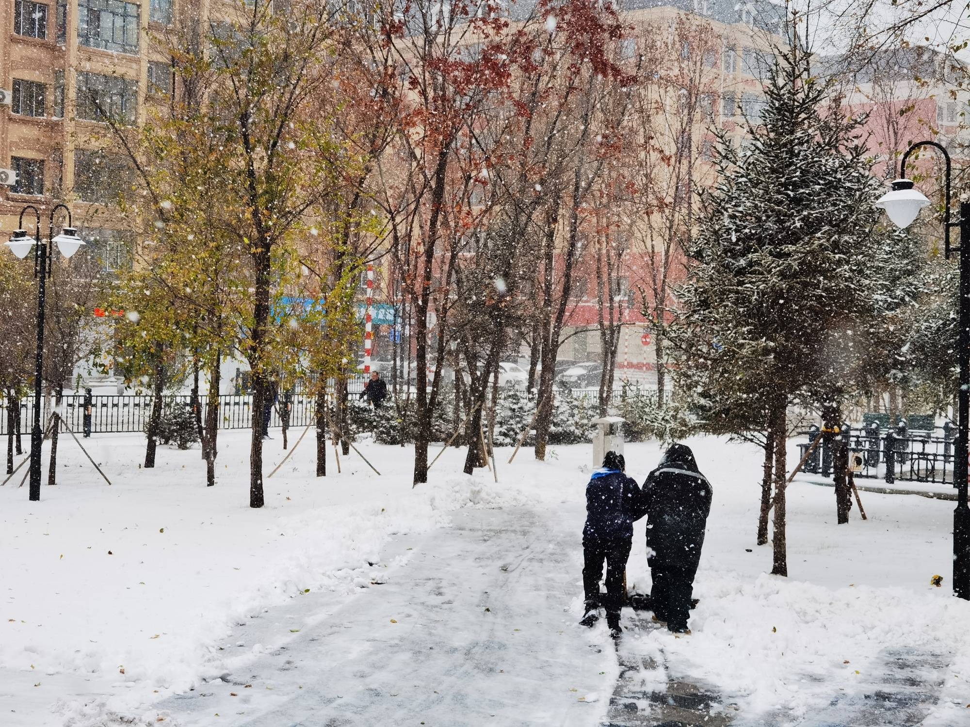 组图直击|大暴雪！黑龙江哈尔滨鹤岗等多地降雪猛烈-第7张图片-太平洋在线下载