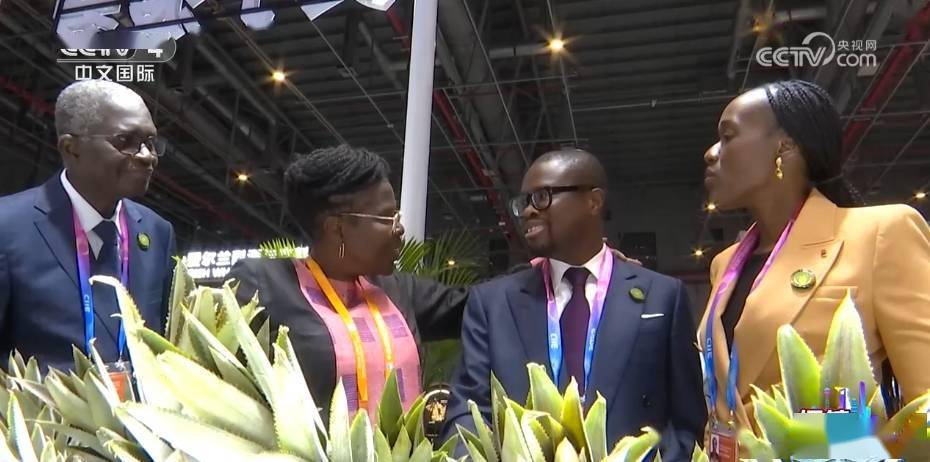 农业是贝宁的支柱产业,而菠萝是贝宁主要的出口农产品之一.