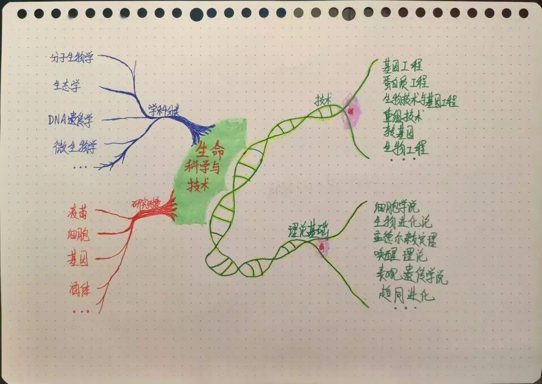 第三届思维导图大赛 | 快来为你喜欢的作品投出宝贵一票吧!
