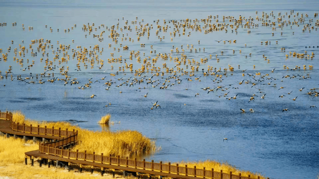 海西州乌兰县都兰湖入选国家重要湿地名录_保护_全力_青海