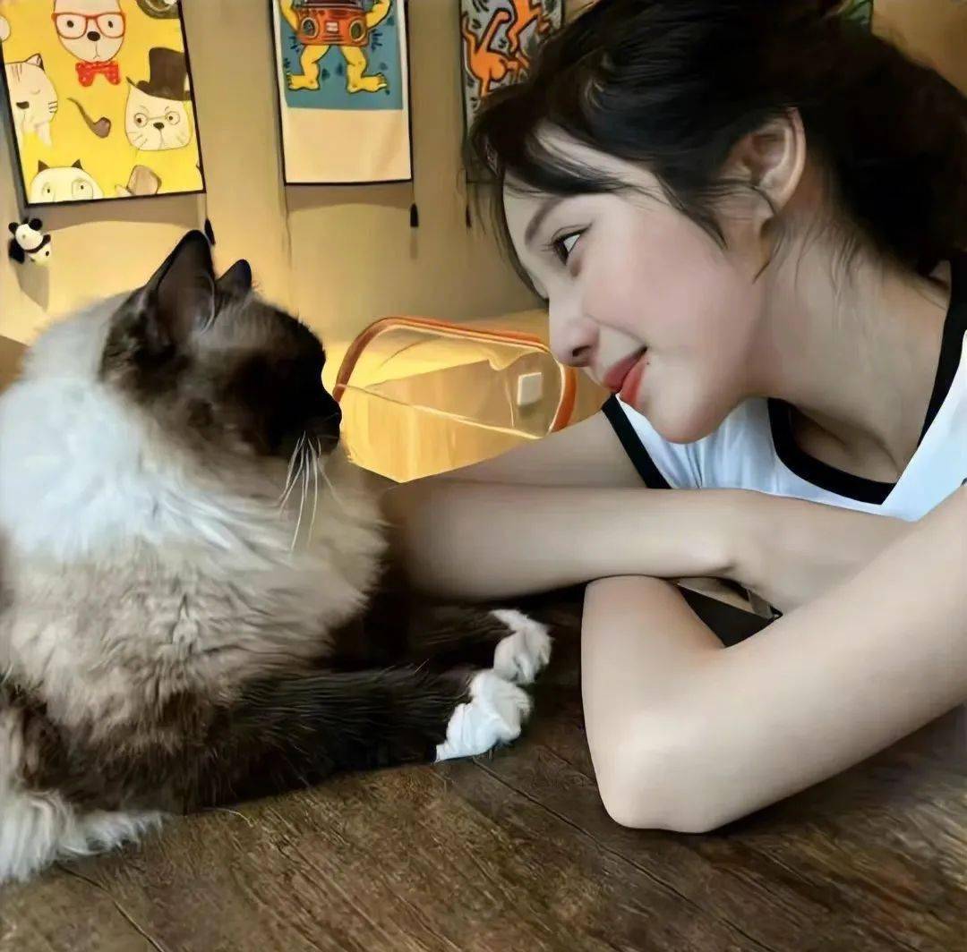 头像 i 多一点理性 少一点感性