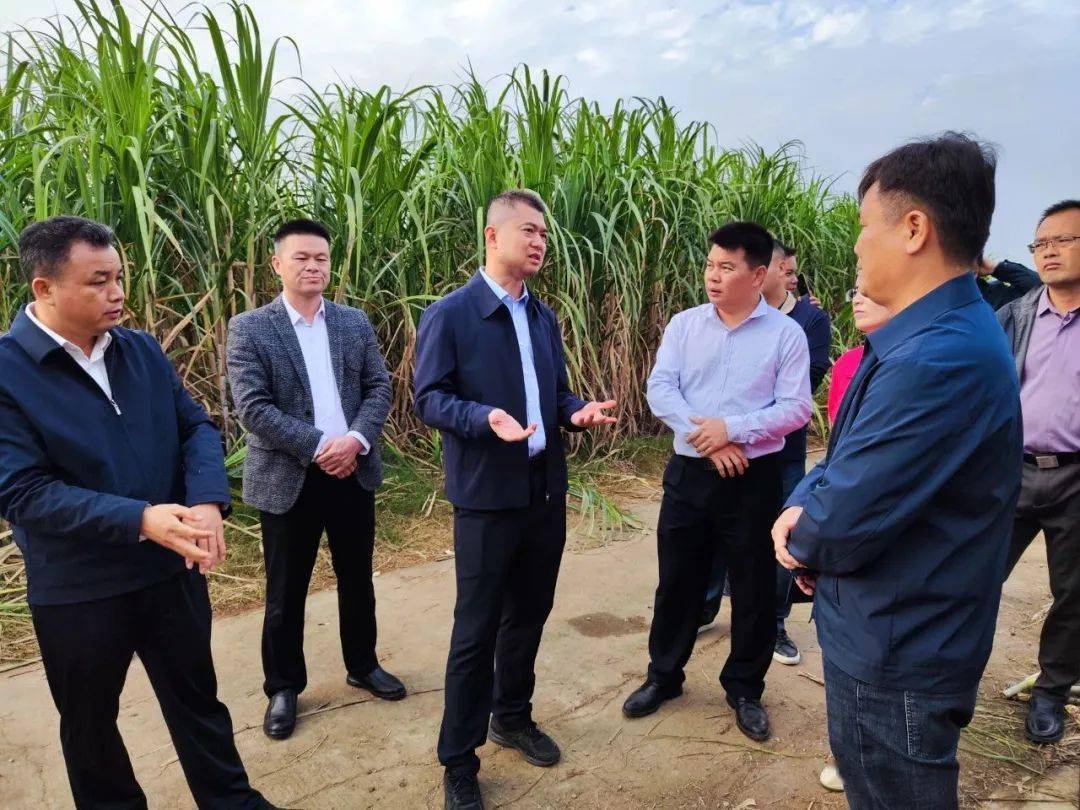 【大兴调查研究之风】雷斌到兴宾区调研秸秆禁烧和综合利用情况