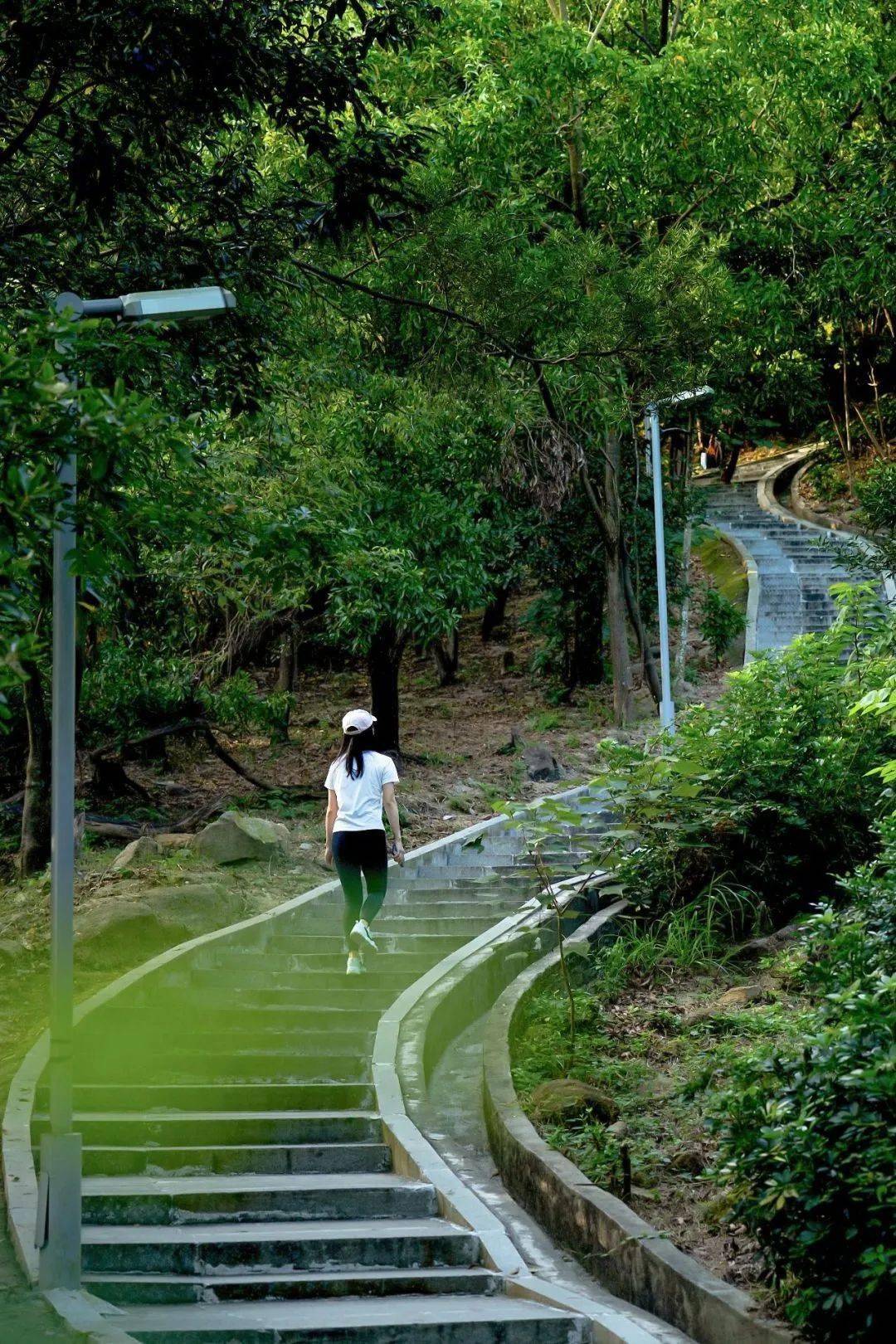 市级森林公园!新步道 1!_登山_防火_景观