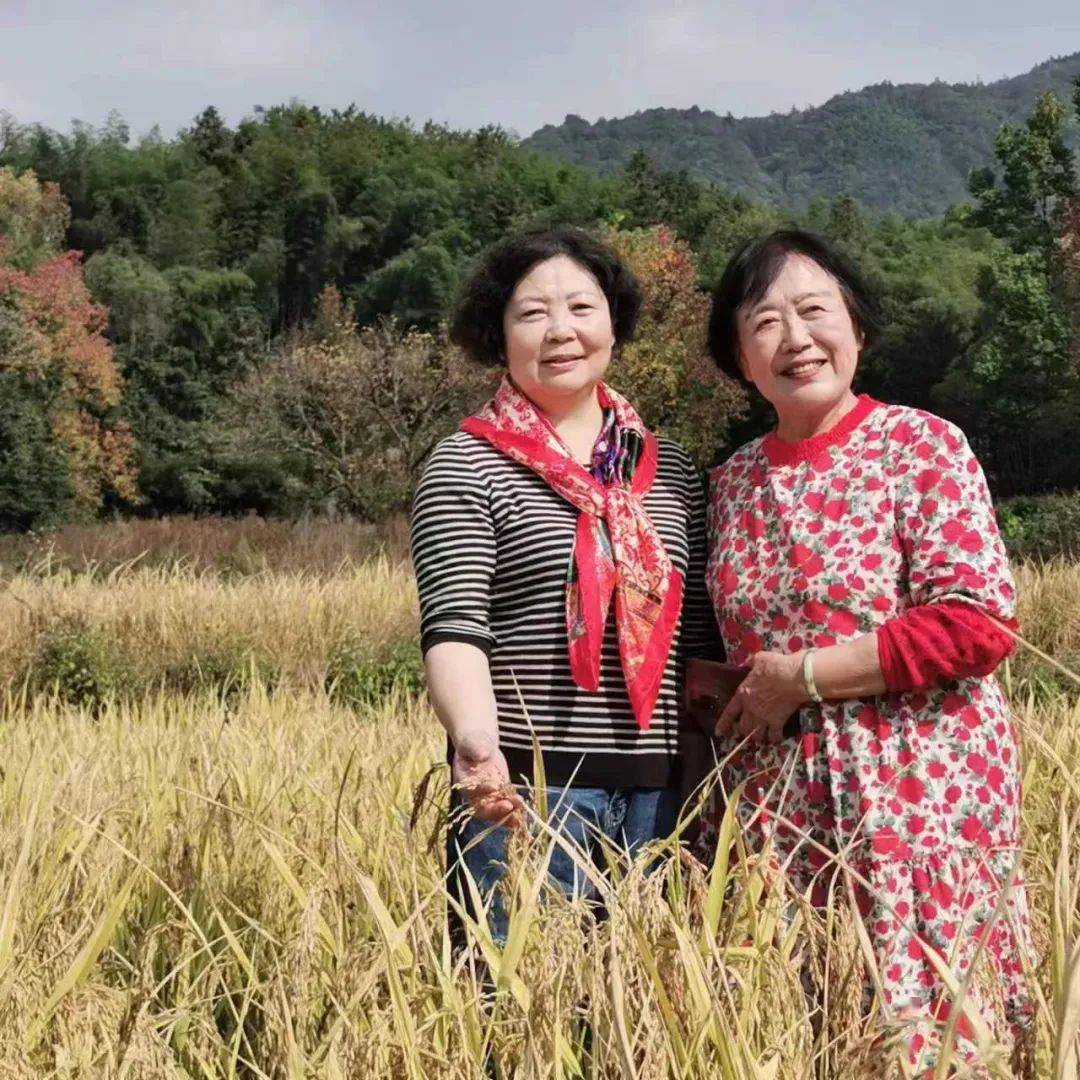 孟庆英:塔川的秋色