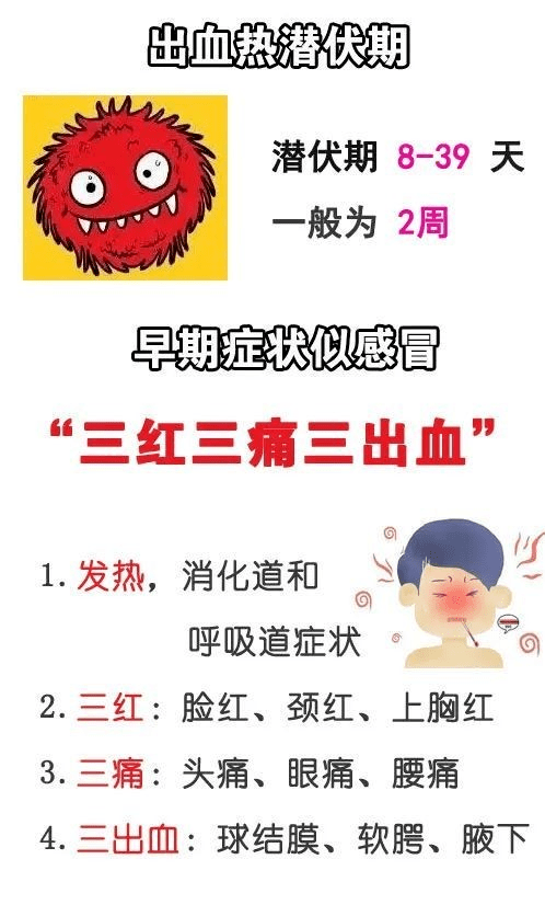 出血热手报图片