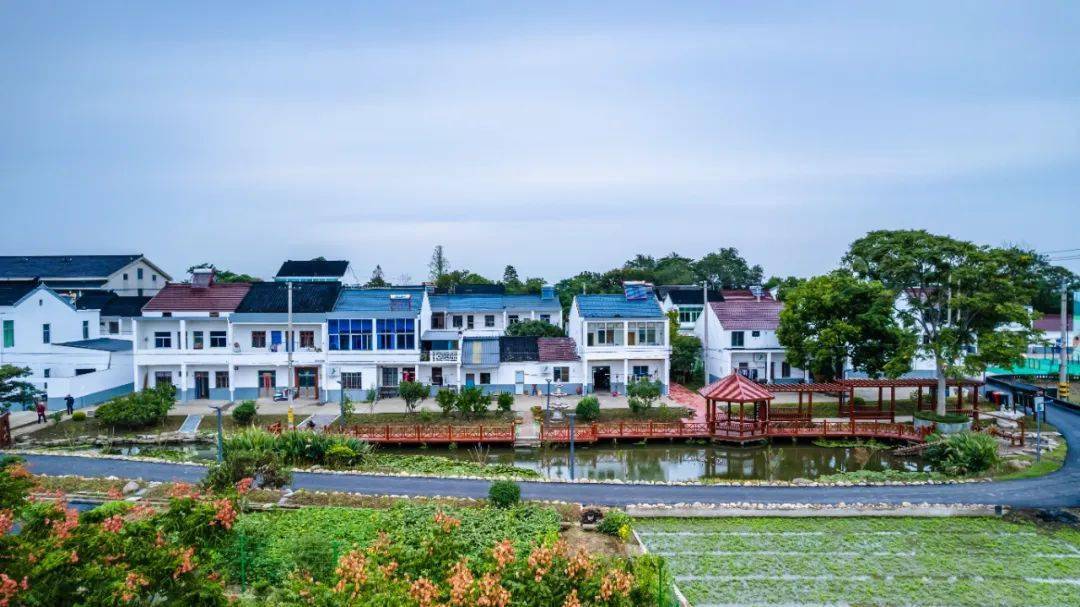 种植户_万石镇_村民