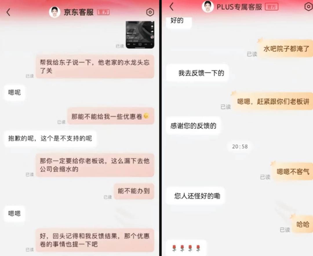 广西修水龙头聊天记录图片