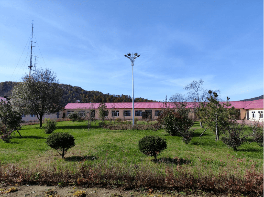 【生态立企】铁山林场：加强生态文明建设 擦亮美丽山河底色