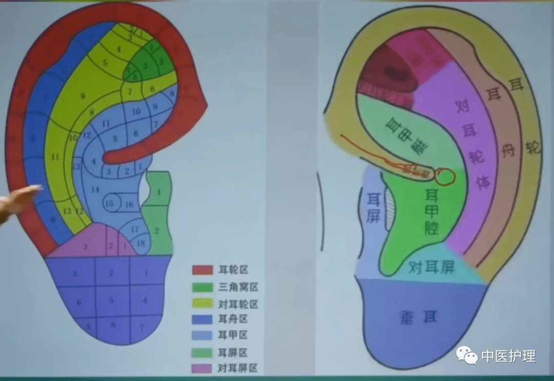 上的分布是有规律的