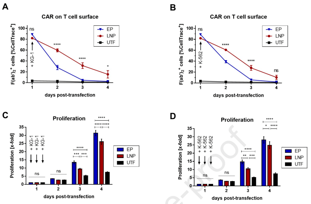 革新CAR-T细胞工程：脂质纳米颗粒在mRNA转染上的优势