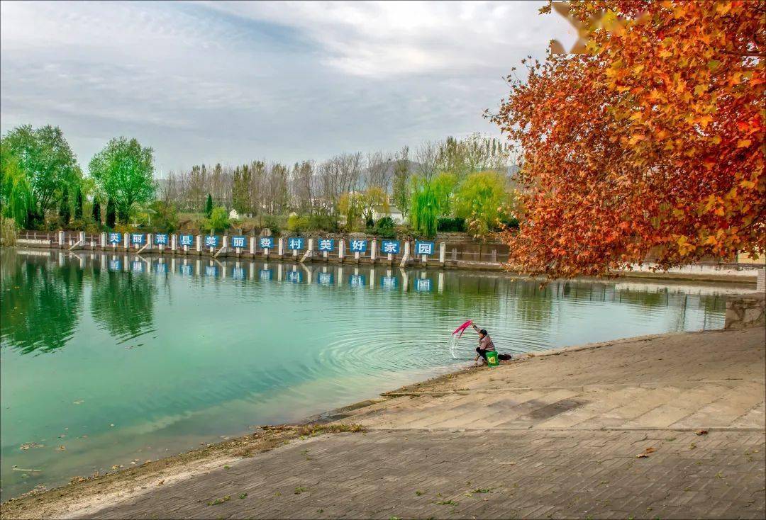 暮秋初冬 美在萧县_落叶_梅山_阳光