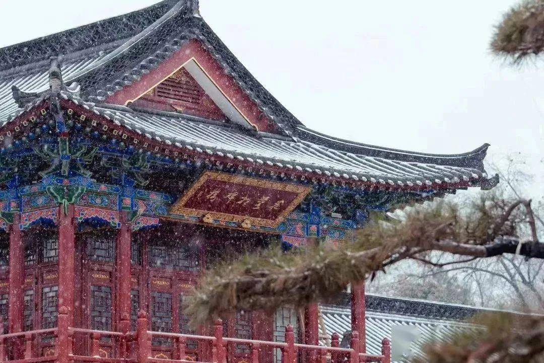 未覺三秋盡,時序已初冬漢長安城未央宮國家考古遺址公園裡初雪與銀杏