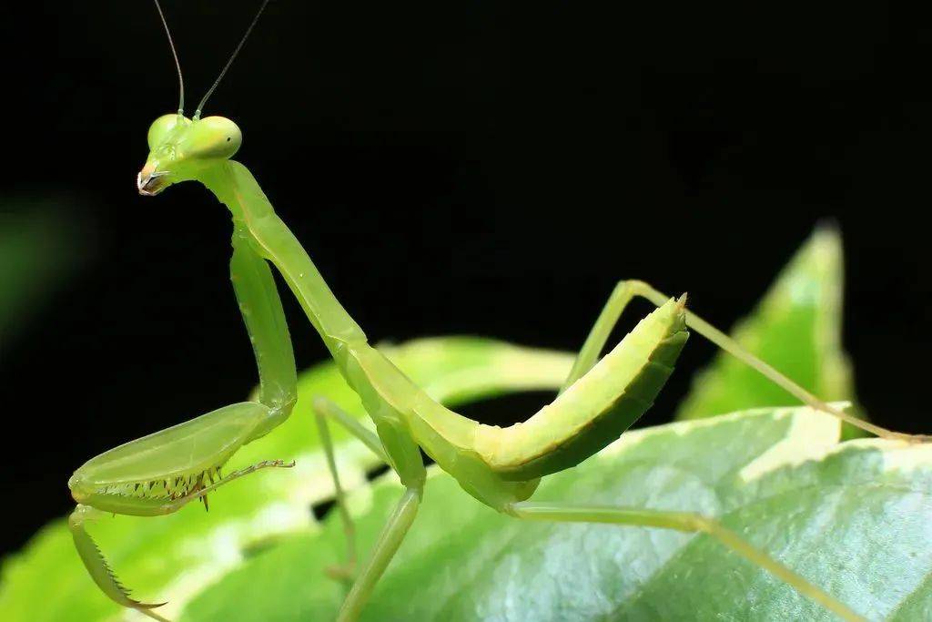 7大寒假热门研学线路最高立减500元!0元抽奖!大额优惠券!