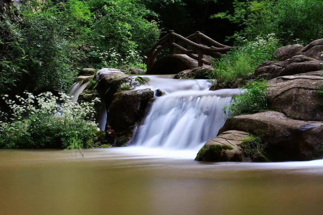 供图)贵清山景区为岩溶地貌,由无数奇峰秀水,参天古松,流泉飞瀑,古刹