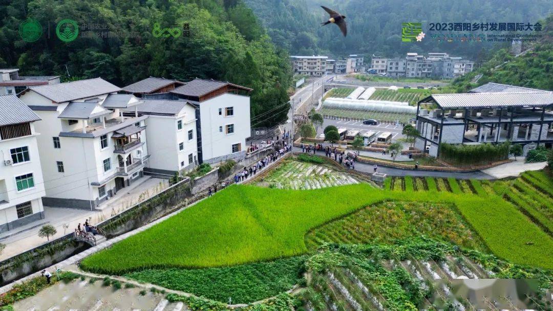 新酉阳,从"新"出发!_发展_生态_乡村