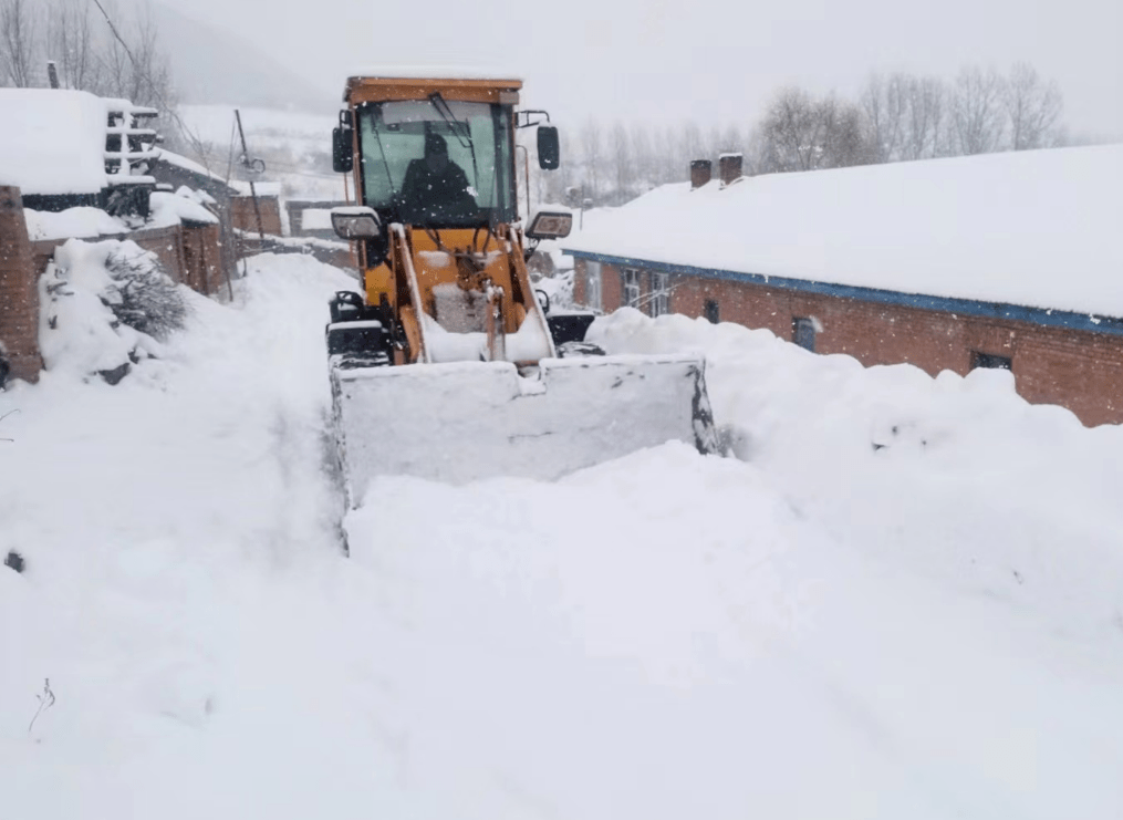 深化能力作风建设|清雪除冰保畅通 用心守护保安全_工作_红旗乡_部署