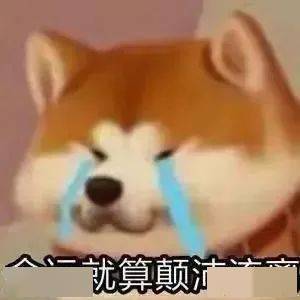 lsp涩涩小黄脸表情包 涩晕了提醒:由于微信公众号改变了推送规则(非