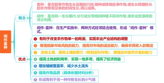 微专题 | 间作&垄作&套种_作物_种植_充分利用