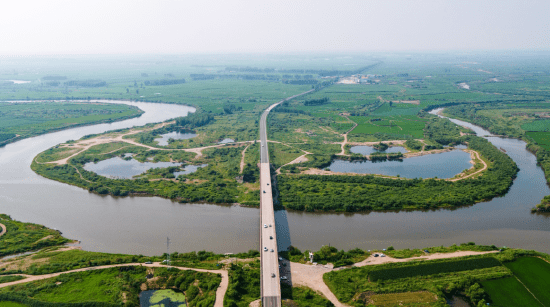 安县_大米_发展