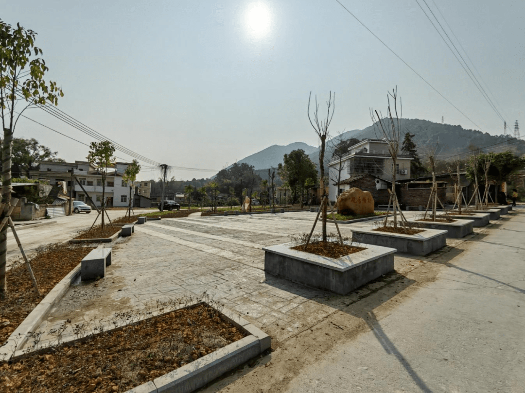 游溪镇人大代表陈健华:履职尽责有作为 全力以赴促发展_中联村_村民