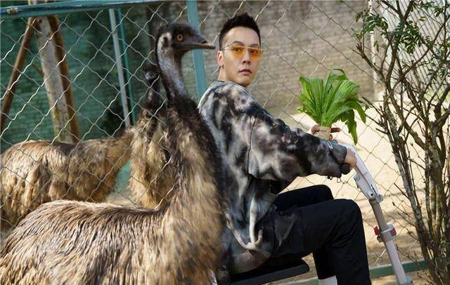陈伟霆晒帅气9宫格照片,与小动物亲密合照,非常温馨.